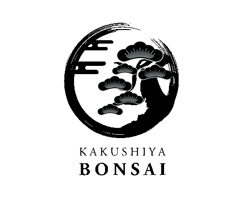 高崎ガールズバー「KAKUSHIYA BONSAI-ボンサイ」のロゴ